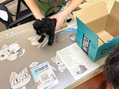 -艾贝尔宠物医院·狂犬免疫点(江山金象城店)