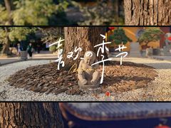 -龙华寺