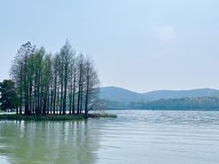 -蠡湖大桥公园