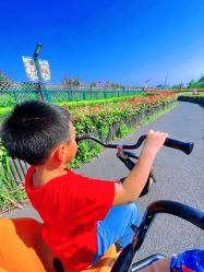 -季高兔窝窝亲子园(上海薰衣草公园店)