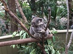 -可伦宾野生动物保护区