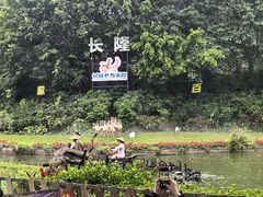 -广州长隆飞鸟乐园