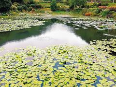 -桃花岭景区