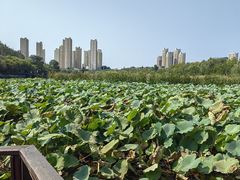 -前关湿地公园