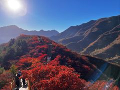 -南窖乡水峪村山情农家