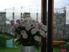 -大理无舍度假酒店