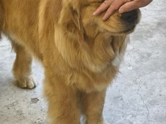 -后院儿·精酿·塔罗Happy Bar