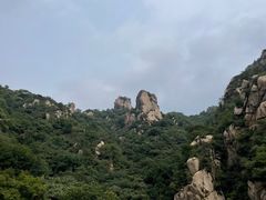 -大岭沟猕猴桃谷风景区