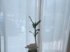 -上座云间·青年赣菜(绿茵店)