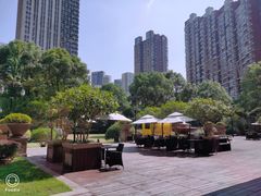 -富力威斯汀酒店·知味自助餐厅