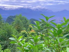 -青城甲(青城山店)