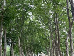 -青龙山国家森林公园