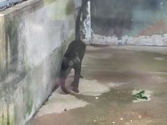 -宁波野生动物园