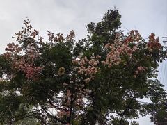 -汉长安城未央宫国家考古遗址公园