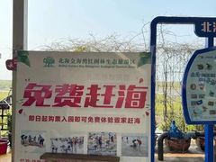 -北海金海湾红树林生态旅游区