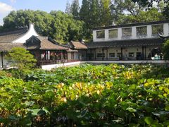 -上海醉白池公园