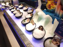 -海鼎荟海鲜姿造(晋江宝龙店)
