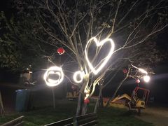 -汤山温泉房车营地 茶温泉