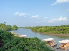 -东寨港红树林旅游区