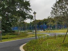 -王借岗森林公园