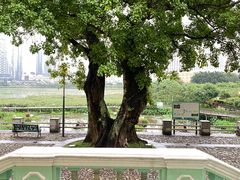 -龙环葡韵住宅式博物馆