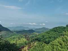 -四明山国家森林公园