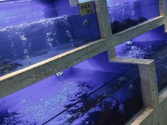 -福州罗源湾海洋世界旅游区