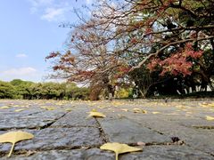 -江心屿景区