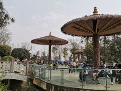 -铁山坪森林公园