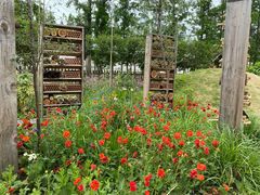 -前小桔亲子创意农场·草莓采摘·露营烧烤