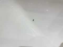 -青岛天瑞星空酒店