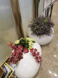 -成都艾特他整形外科医院