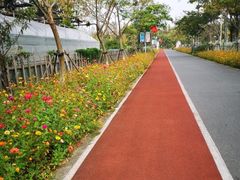 -前小桔亲子创意农场·草莓采摘·露营烧烤