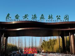 -黄海国家森林公园