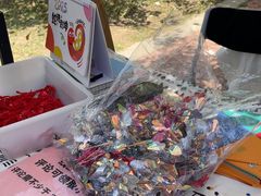 -祥源·阜阳生态乐园