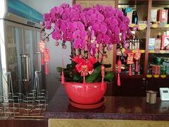 -全聚德烤鸭店(马家堡店)