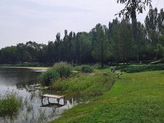-北坞公园