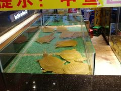 -洪湘记川湘·甲鱼馆(四海凯悦美食广场店)
