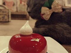-共舞时光猫咖·狗咖(新街口店)