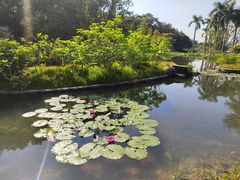 -云溪植物园