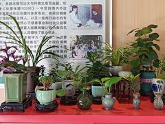 -手佳按摩·足疗·艾灸(博物院中山陵店)