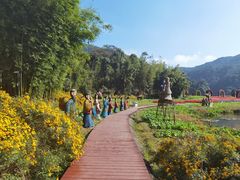 -广州市石门国家森林公园