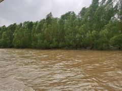 -东寨港红树林旅游区