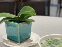 -凤城酒家(凤城食都店)