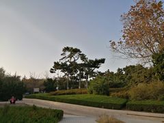 -青岛第三海水浴场