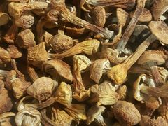 -青石桥市场北1-27号