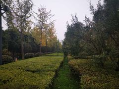 -唐城墙遗址公园
