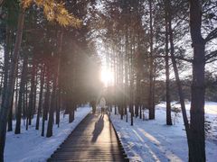 -北极村旅游风景区