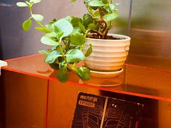 -欧邑咖啡小站 HLab Coffee