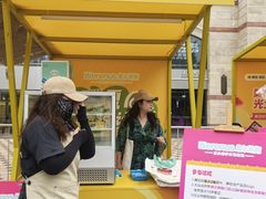 -维尔纳斯·生日蛋糕动物奶油冰淇淋蛋糕(人大店)